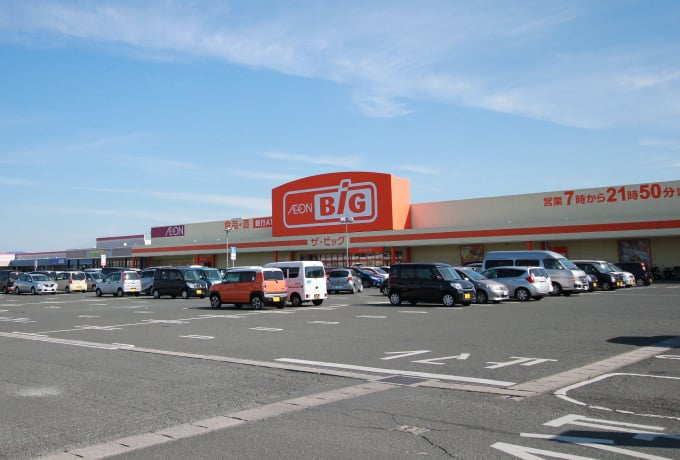 ザ・ビッグ湖西店