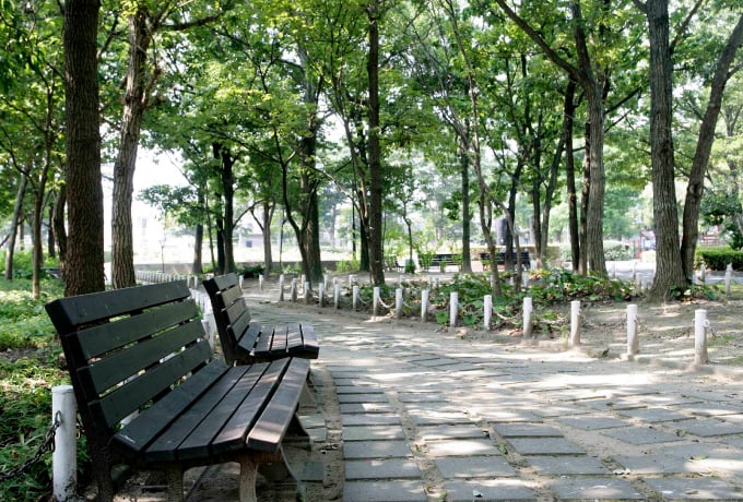 新居文化公園